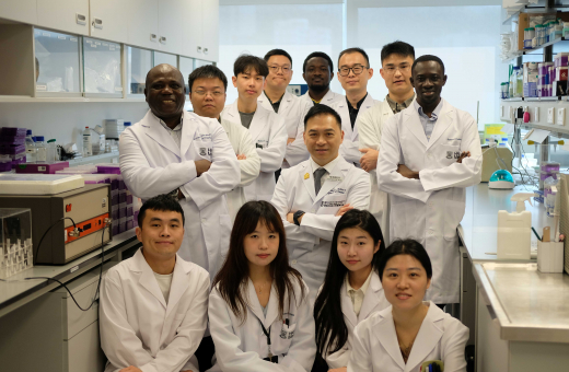 HKUMed develops an innovative titanium implant surface for rapid bacteria elimination and enhanced bone regeneration